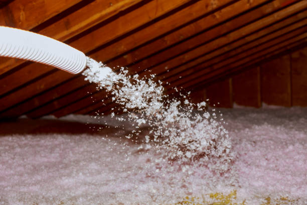 Best Insulation Maintenance and Repair in Troy, AL